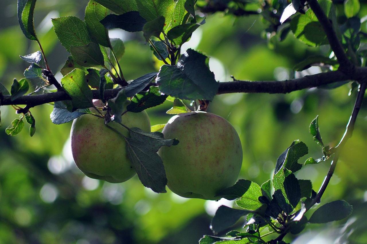 The Role of Yoga in Managing Chronic Pain