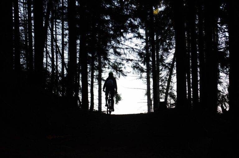 How IPL Promotes Regional Cricket Development