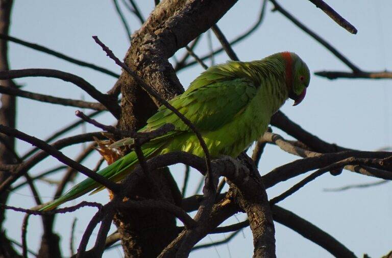 Analyzing the Impact of Gun Control Policies on Voter Preference