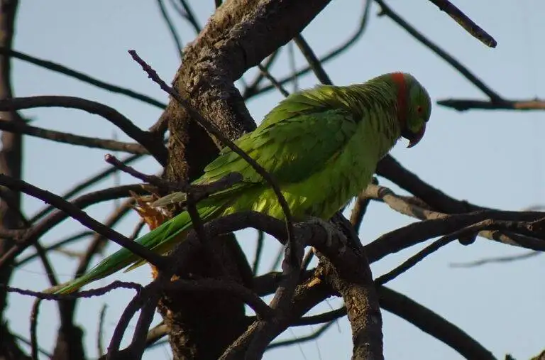 Analyzing the Impact of Gun Control Policies on Voter Preference