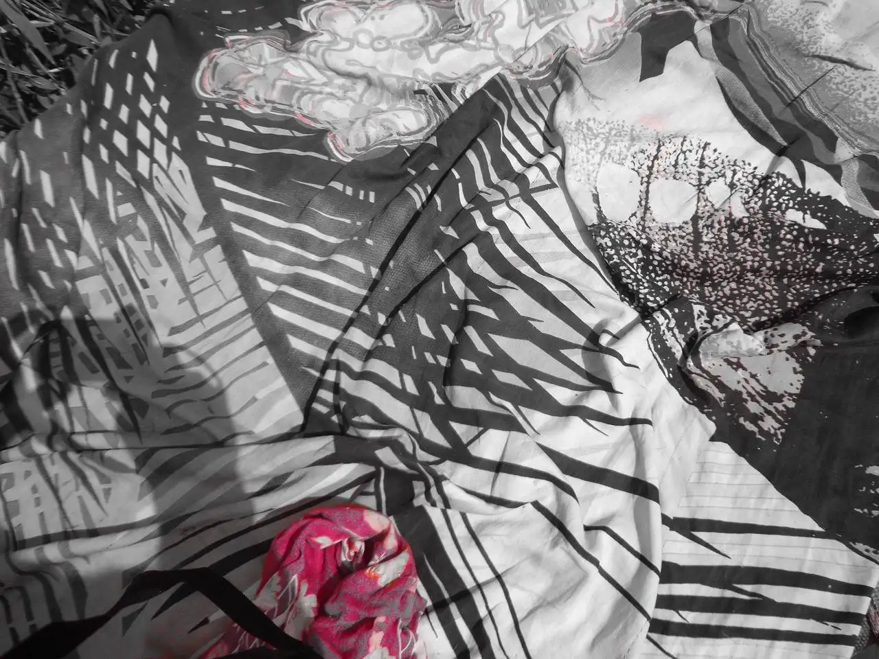 The Rise of Sustainable Fashion Marketplaces