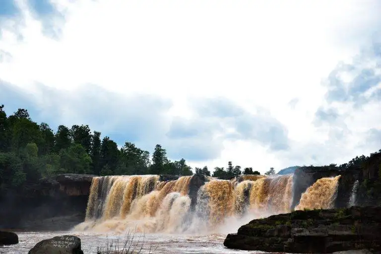 The Role of Healthcare Reform in Shaping Election Campaigns